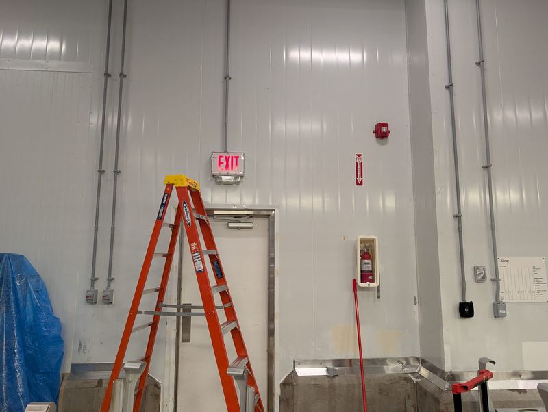 Fire alarm device, exit sign and surface conduit installed on a commercial wall.